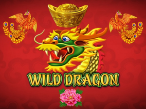 Wild Dragon Game Banner